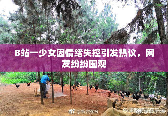 B站一少女因情绪失控引发热议，网友纷纷围观