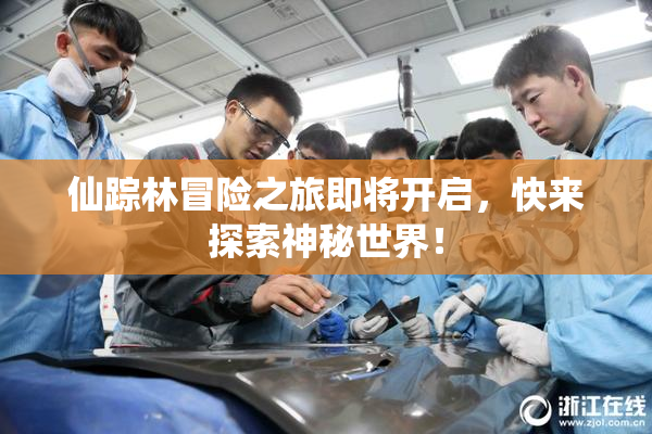 仙踪林冒险之旅即将开启，快来探索神秘世界！