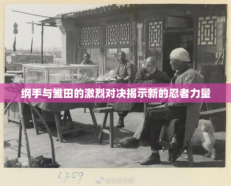 纲手与雏田的激烈对决揭示新的忍者力量