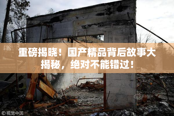 重磅揭晓！国产精品背后故事大揭秘，绝对不能错过！