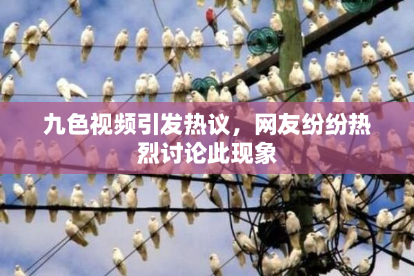 九色视频引发热议，网友纷纷热烈讨论此现象
