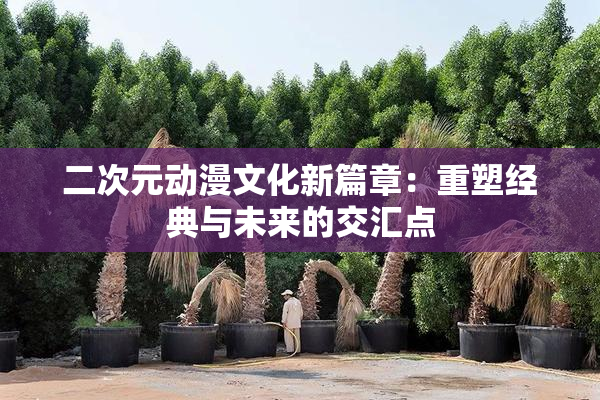 二次元动漫文化新篇章：重塑经典与未来的交汇点