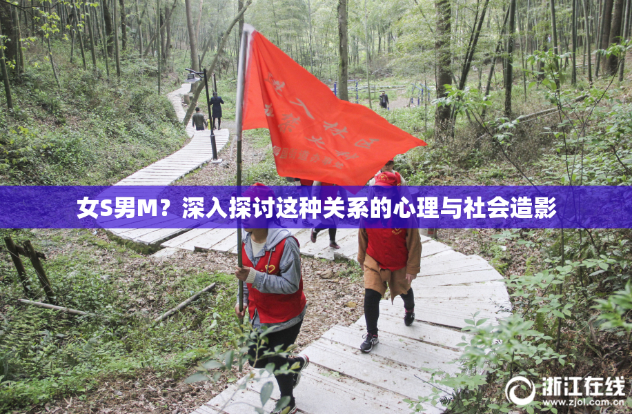 女S男M？深入探讨这种关系的心理与社会造影