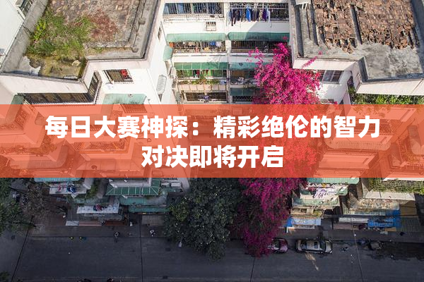 每日大赛神探：精彩绝伦的智力对决即将开启