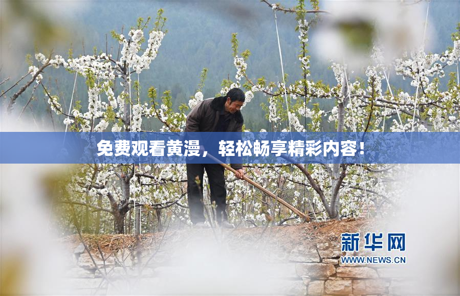 免费观看黄漫，轻松畅享精彩内容！