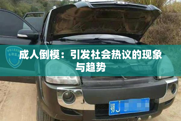 成人倒模：引发社会热议的现象与趋势