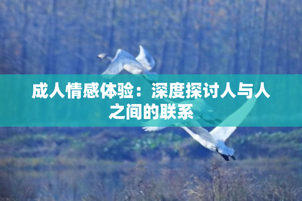 成人情感体验：深度探讨人与人之间的联系