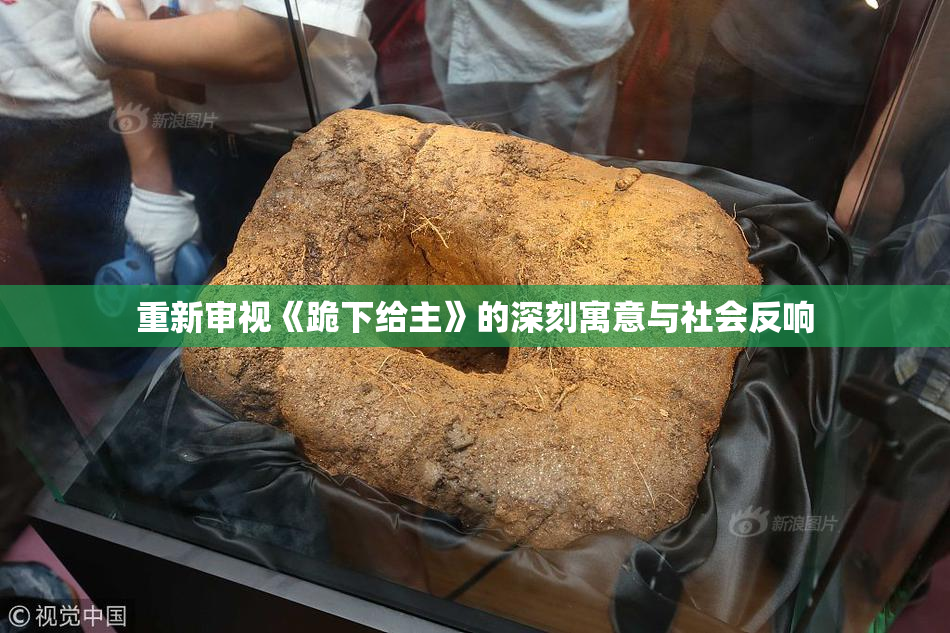 重新审视《跪下给主》的深刻寓意与社会反响