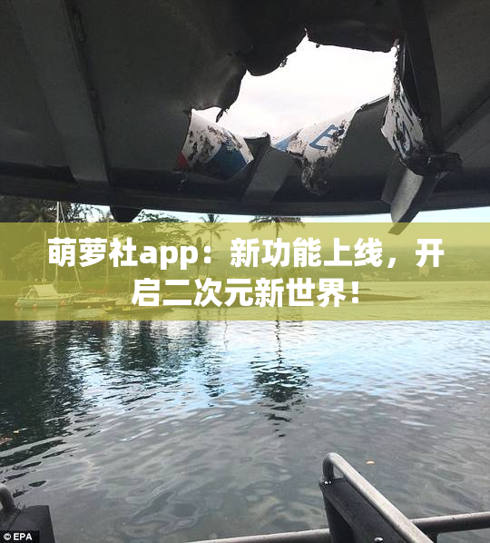 萌萝社app：新功能上线，开启二次元新世界！