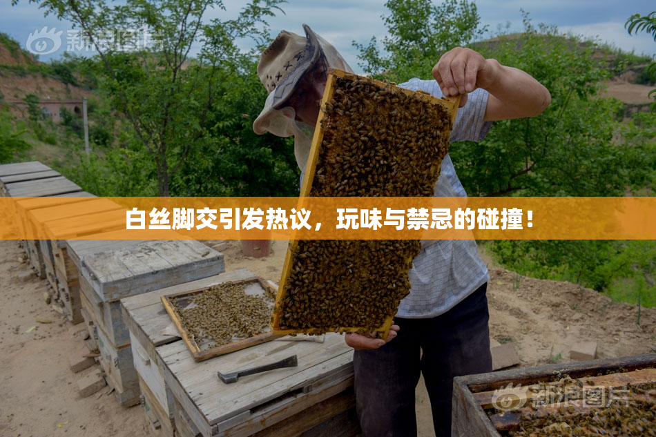 白丝脚交引发热议，玩味与禁忌的碰撞！
