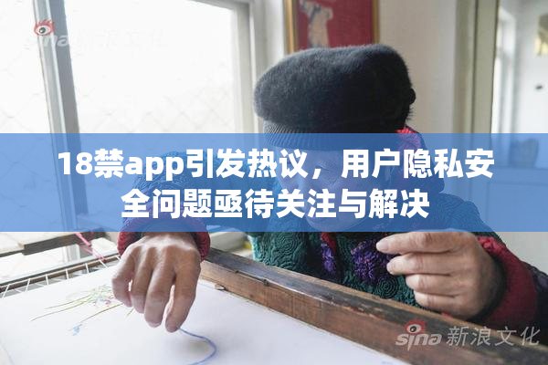 18禁app引发热议，用户隐私安全问题亟待关注与解决