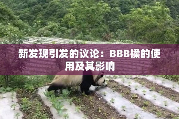 新发现引发的议论：BBB揉的使用及其影响