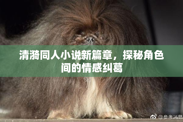 清漪同人小说新篇章，探秘角色间的情感纠葛