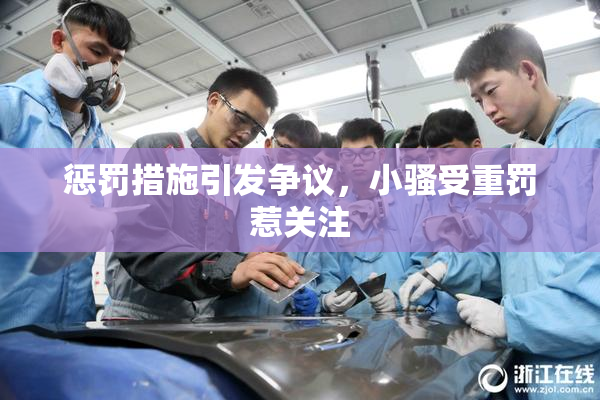 惩罚措施引发争议，小骚受重罚惹关注