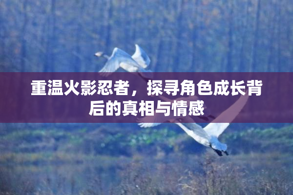 重温火影忍者，探寻角色成长背后的真相与情感