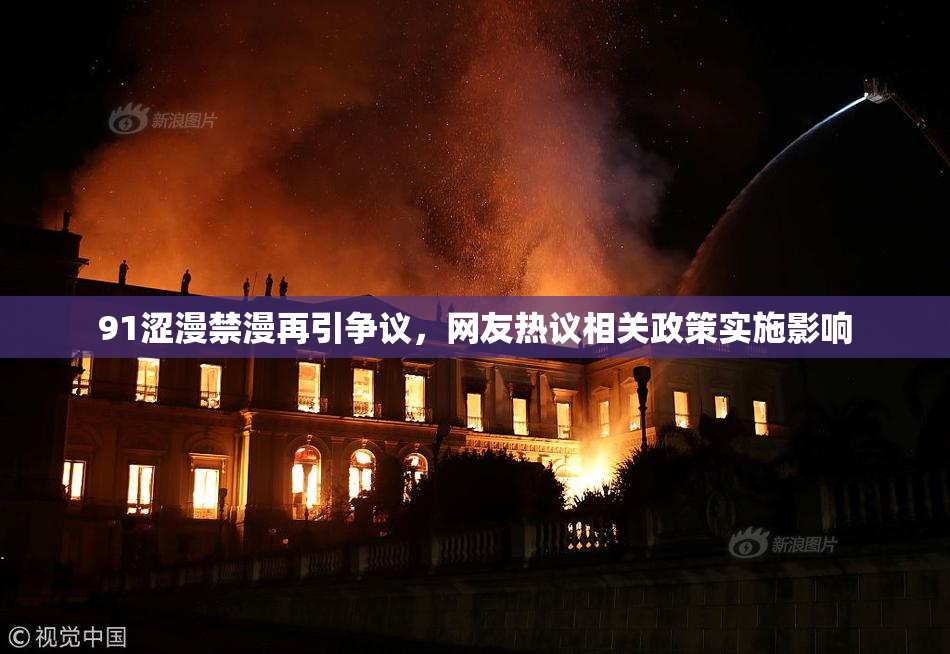 91涩漫禁漫再引争议，网友热议相关政策实施影响