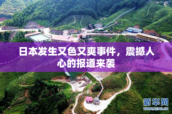 日本发生又色又爽事件，震撼人心的报道来袭