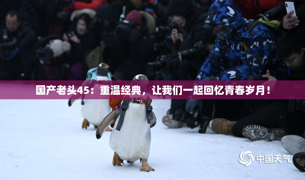 国产老头45：重温经典，让我们一起回忆青春岁月！
