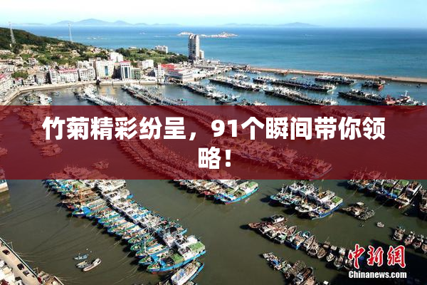 竹菊精彩纷呈，91个瞬间带你领略！