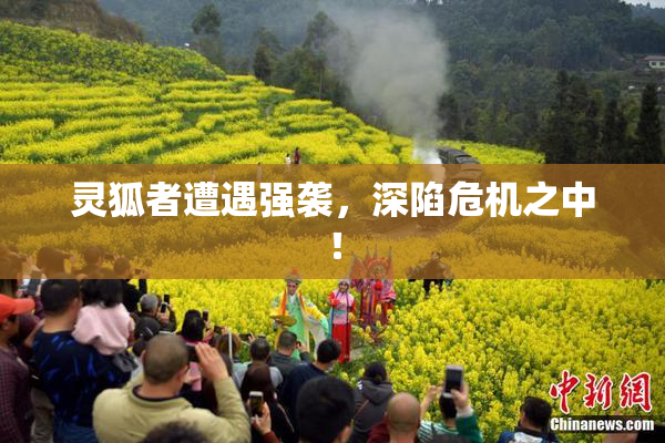 灵狐者遭遇强袭，深陷危机之中！