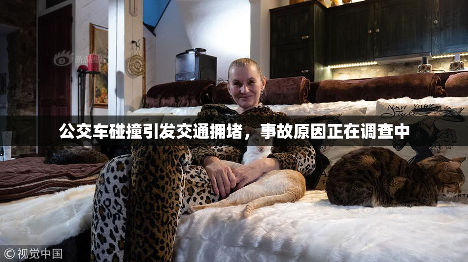 公交车碰撞引发交通拥堵，事故原因正在调查中