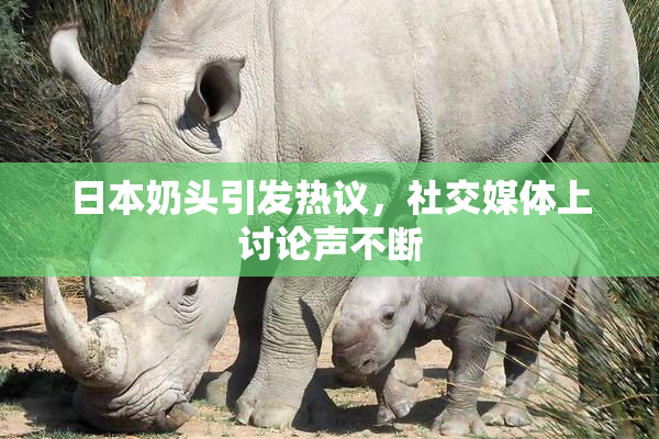 日本奶头引发热议，社交媒体上讨论声不断