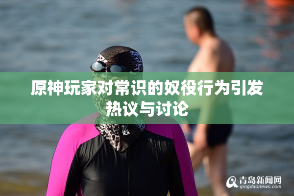 原神玩家对常识的奴役行为引发热议与讨论