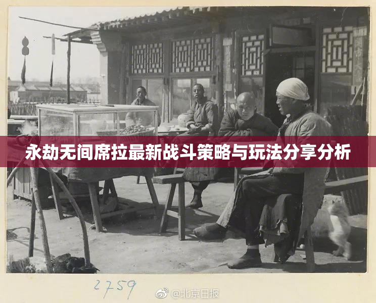永劫无间席拉最新战斗策略与玩法分享分析