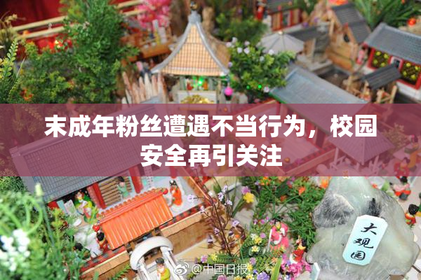 末成年粉丝遭遇不当行为，校园安全再引关注