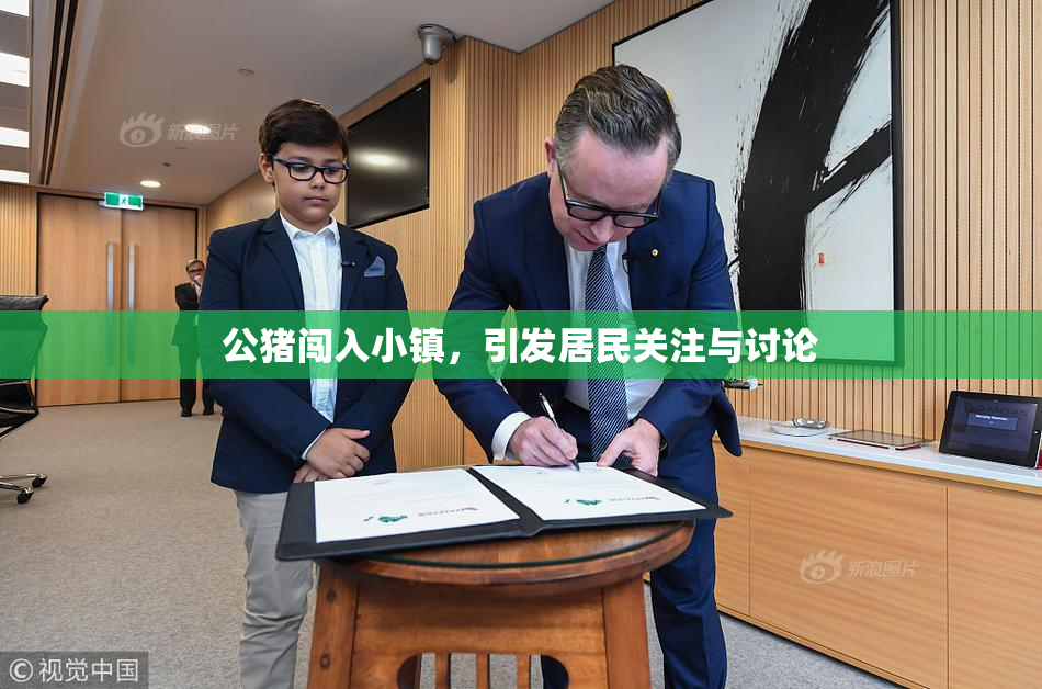公猪闯入小镇，引发居民关注与讨论
