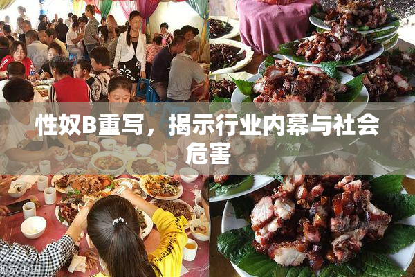 性奴B重写，揭示行业内幕与社会危害