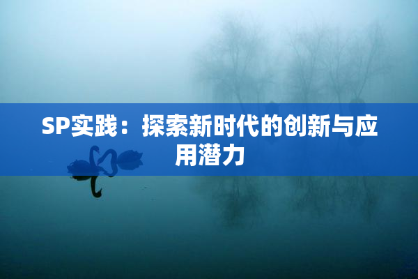 SP实践：探索新时代的创新与应用潜力