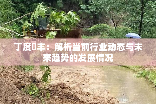 丁度巜丰：解析当前行业动态与未来趋势的发展情况