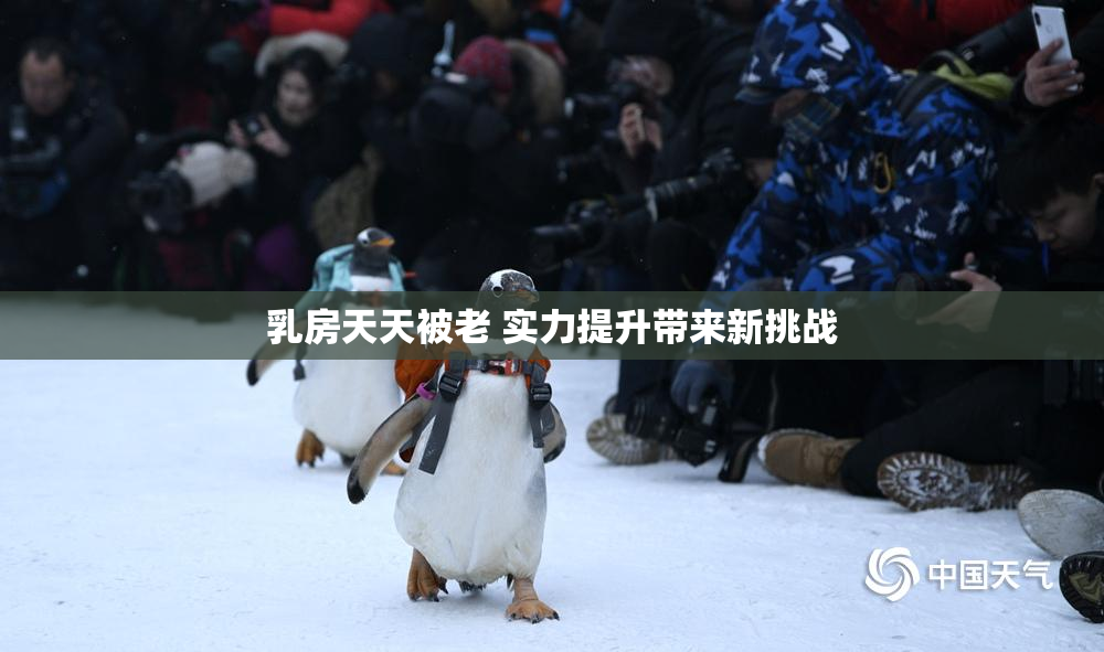 乳房天天被老 实力提升带来新挑战