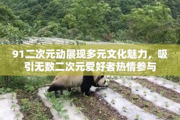 91二次元动展现多元文化魅力，吸引无数二次元爱好者热情参与