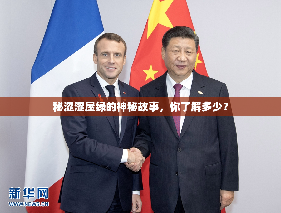 秘涩涩屋绿的神秘故事，你了解多少？