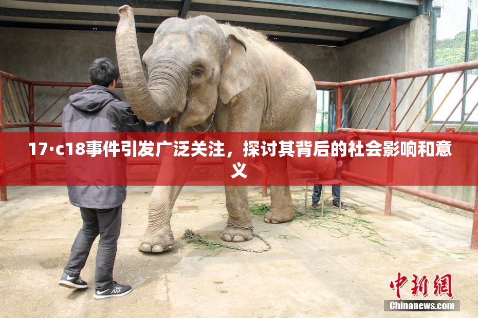 17·c18事件引发广泛关注，探讨其背后的社会影响和意义