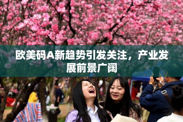 欧美码A新趋势引发关注，产业发展前景广阔