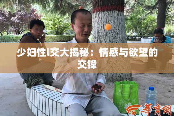 少妇性l交大揭秘：情感与欲望的交锋
