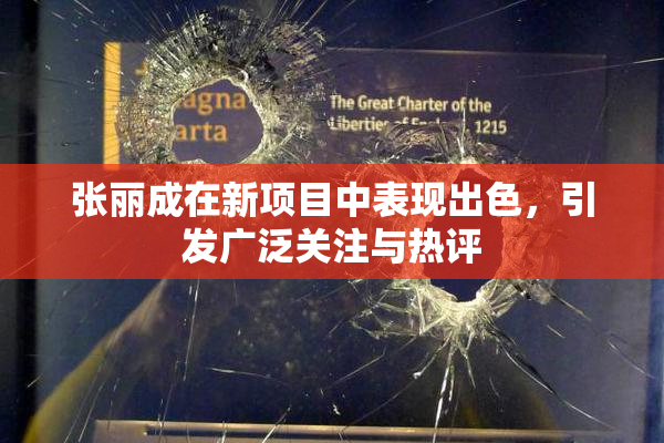 张丽成在新项目中表现出色，引发广泛关注与热评