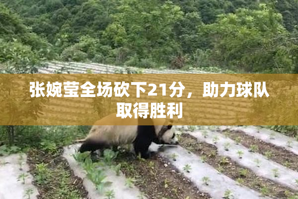 张婉莹全场砍下21分，助力球队取得胜利