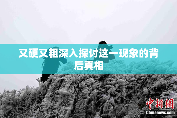 又硬又粗深入探讨这一现象的背后真相