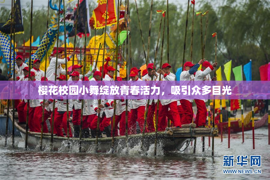 樱花校园小舞绽放青春活力，吸引众多目光