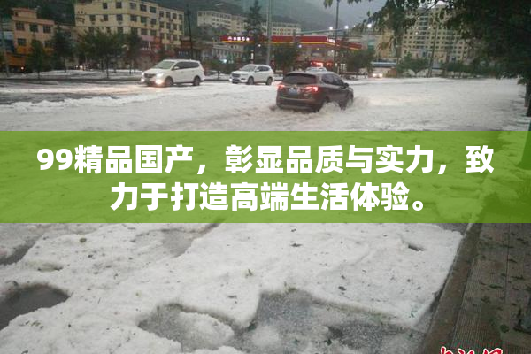 99精品国产，彰显品质与实力，致力于打造高端生活体验。