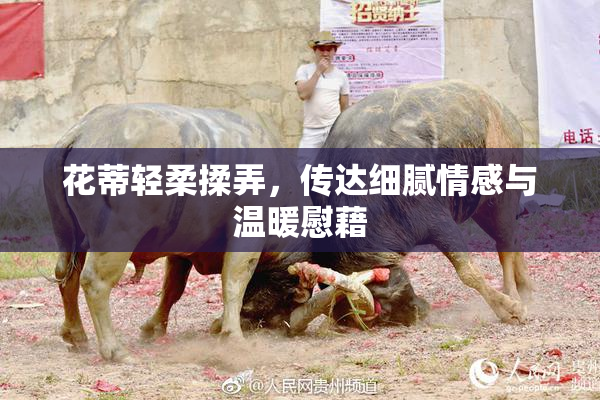 花蒂轻柔揉弄，传达细腻情感与温暖慰藉