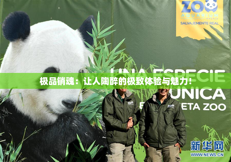 极品销魂：让人陶醉的极致体验与魅力！