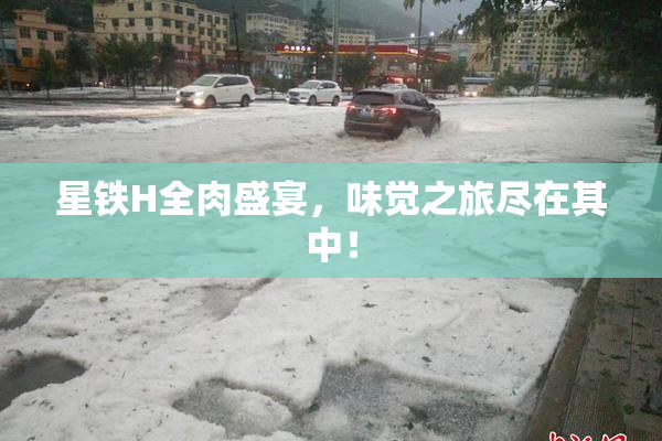 星铁H全肉盛宴，味觉之旅尽在其中！
