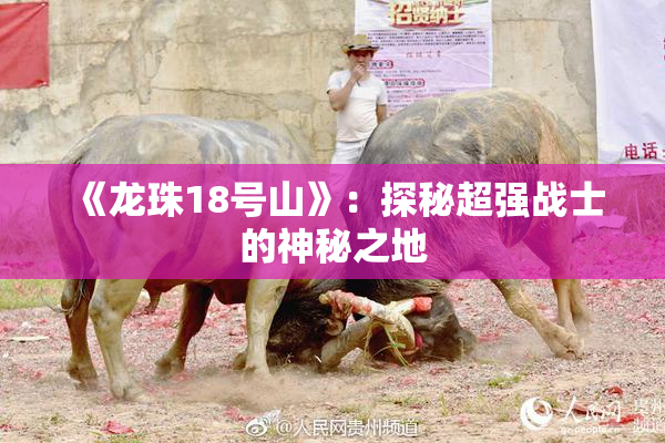 《龙珠18号山》：探秘超强战士的神秘之地