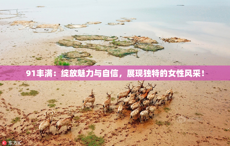 91丰满：绽放魅力与自信，展现独特的女性风采！