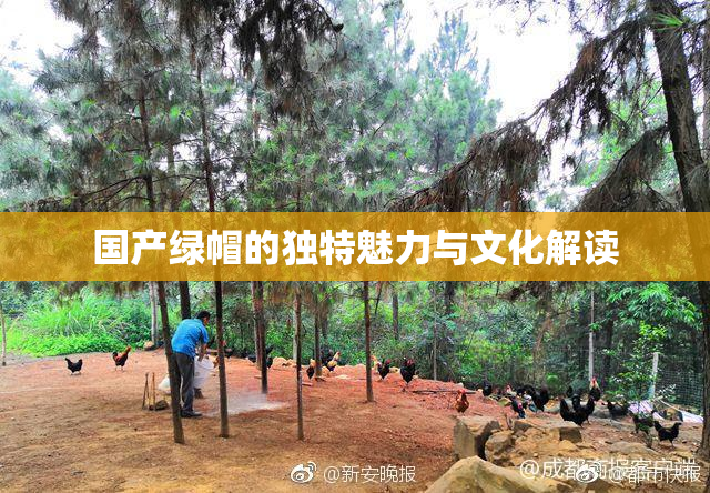 国产绿帽的独特魅力与文化解读
